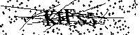 Proszę przepisać litery i cyfry z obrazka poniżej