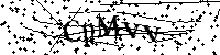 Proszę przepisać litery i cyfry z obrazka poniżej