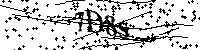 Proszę przepisać litery i cyfry z obrazka poniżej