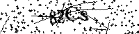 Proszę przepisać litery i cyfry z obrazka poniżej