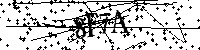 Proszę przepisać litery i cyfry z obrazka poniżej