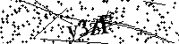Proszę przepisać litery i cyfry z obrazka poniżej