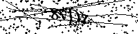 Proszę przepisać litery i cyfry z obrazka poniżej