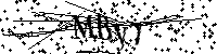 Proszę przepisać litery i cyfry z obrazka poniżej