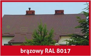 Aksikor Brązowy 5L 10L 8017