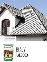 EKO-LOWICYN BIAŁY - RAL9003 - 1L 5L 10L