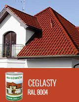 EKO-LOWICYN CEGLASTY 10L - RAL8004 