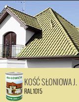 EKO-LOWICYN KOŚĆ SŁONIOWA - RAL1015 - 1L 5L 10L