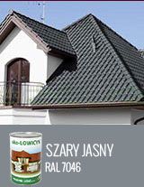 EKO-LOWICYN SZARY JASNY 1L - RAL7046