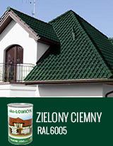 EKO-LOWICYN ZIELONY CIEMNY 1L - RAL6005