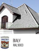 LOWICYN-SX BIAŁY - RAL9003 POŁYSK - 0,8L 5L 10L
