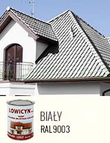 LOWICYN BIAŁY MAT 10L - RAL9003